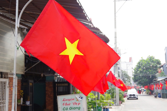 Rực rỡ tuyến đường cờ Tổ quốc chào mừng Ngày hội non sông tại TPHCM - Ảnh 2.