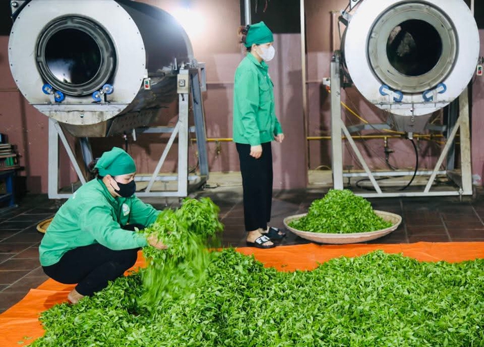 Nhật k&yacute; của tr&agrave; - Ảnh 2.