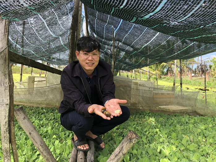 Làm giàu từ nông nghiệp sạch: Khởi nghiệp thành công với ốc và xơ mướp Năm 2026 - Ảnh 1. Làm giàu từ nông nghiệp sạch: Khởi nghiệp thành công với ốc và xơ mướp Năm 2026 - Ảnh 1.