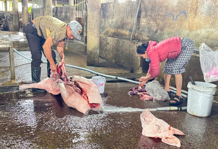 Quảng Trị phạt l&ograve; mổ gần 250 triệu đồng v&igrave; xả thải vượt chuẩn nghi&ecirc;m trọng - Ảnh 2.