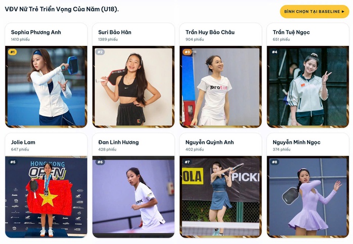 Hấp dẫn giải thưởng Vietnam Pickleball Awards 2025 - Ảnh 3.