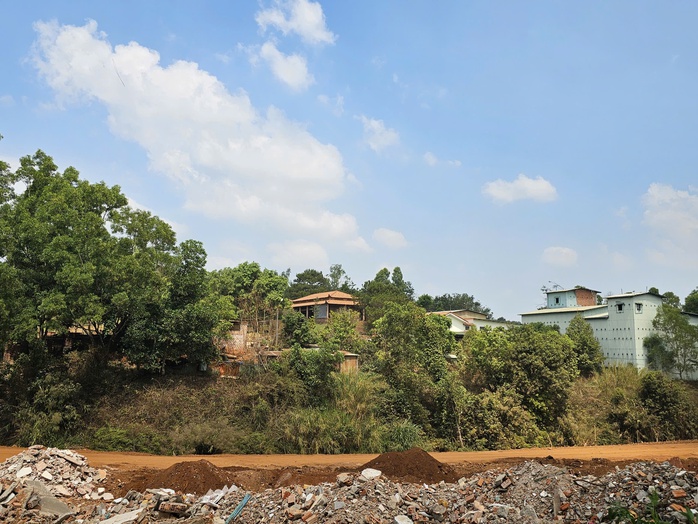 Loay hoay thu hồi hàng chục ngàn mét vuông đất rừng - Ảnh 1. Loay hoay thu hồi hàng chục ngàn mét vuông đất rừng - Ảnh 1.