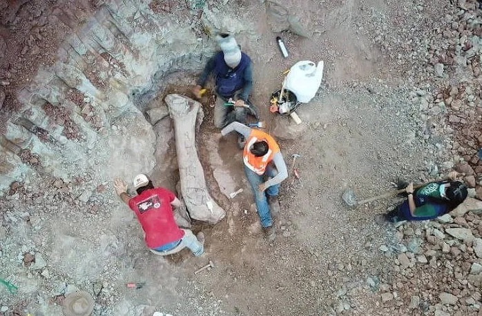 Qu&aacute;i vật d&agrave;i 20 m "trỗi dậy" giữa c&ocirc;ng tr&igrave;nh đường sắt. - Ảnh 1.