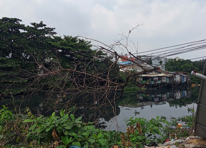 Nguy hiểm - Ảnh 1.