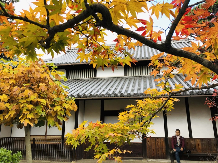 Bình yên Đông Kinh - Ảnh 2.