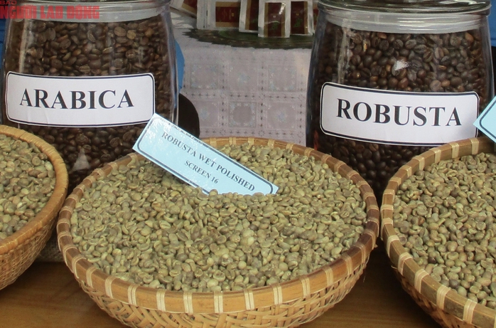 Gi&aacute; c&agrave; ph&ecirc; h&ocirc;m nay 21 - 3: Arabica v&agrave; Robusta tăng mạnh tr&ecirc;n thị trường - Ảnh 3.