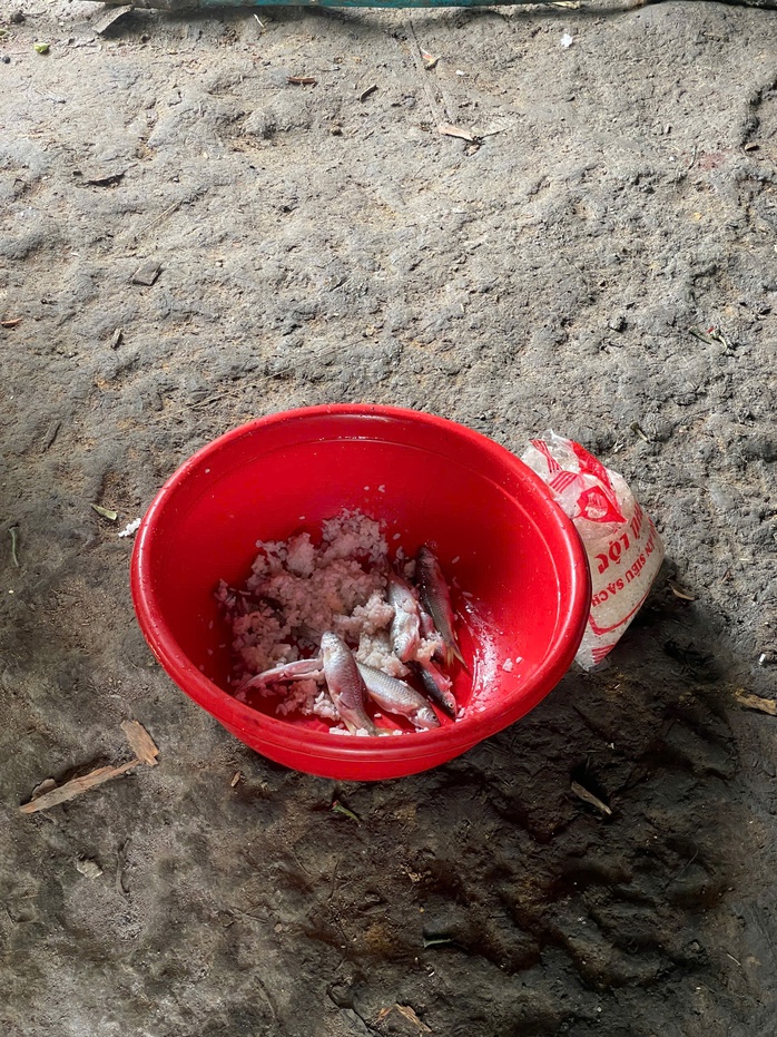 - Ảnh 4. - Ảnh 4.