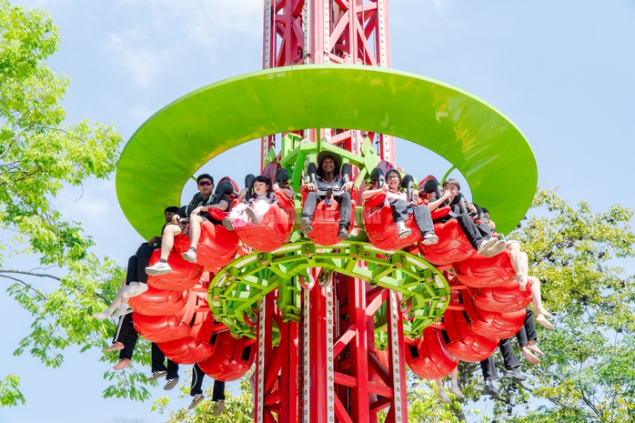 VIDEO: Lộ diện bé ngựa lùn Cacao trong dịp sinh nhật Thảo Cẩm Viên 162 tuổi - Ảnh 10.