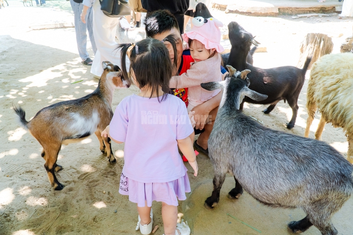 VIDEO: Lộ diện bé ngựa lùn Cacao trong dịp sinh nhật Thảo Cẩm Viên 162 tuổi - Ảnh 14.