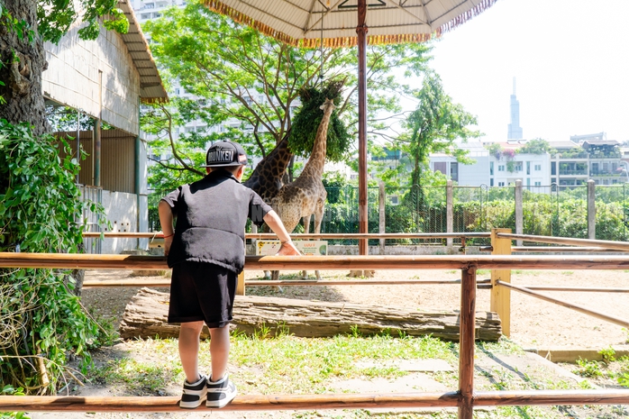 VIDEO: Lộ diện bé ngựa lùn Cacao trong dịp sinh nhật Thảo Cẩm Viên 162 tuổi - Ảnh 15.