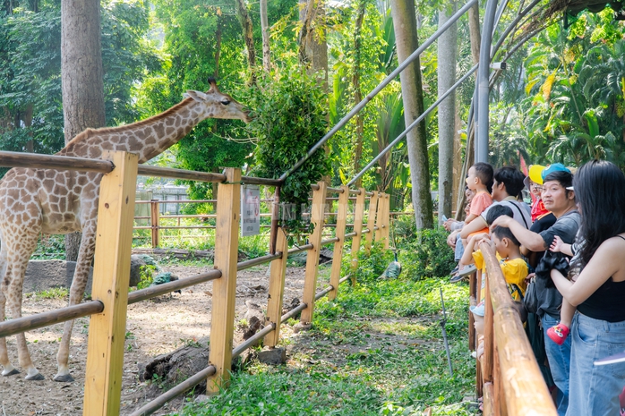 VIDEO: Lộ diện bé ngựa lùn Cacao trong dịp sinh nhật Thảo Cẩm Viên 162 tuổi - Ảnh 16.