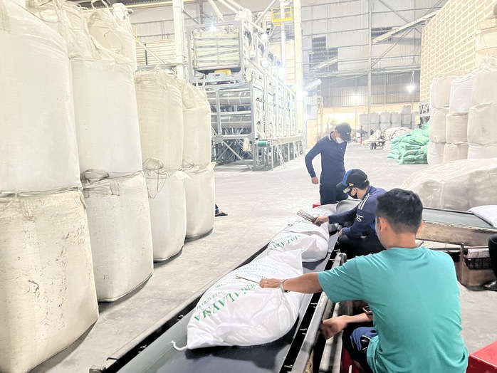 Ổn định thị trường lúa gạo - Ảnh 1.