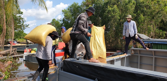 Ổn định thị trường lúa gạo - Ảnh 2.