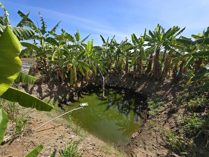 Xu thế xâm nhập mặn gia tăng ở ĐBSCL và cảnh báo từ các chuyên gia - Ảnh 2. Xu thế xâm nhập mặn gia tăng ở ĐBSCL và cảnh báo từ các chuyên gia - Ảnh 2.