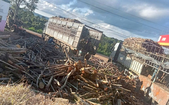 Ph&aacute; rừng Gia Lai tiếp diễn nghi&ecirc;m trọng bất chấp nỗ lực bảo vệ rừng - Ảnh 1.