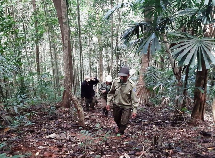 "B&aacute;u vật" Chư Mom Ray giữa đại ng&agrave;n T&acirc;y Nguy&ecirc;n - Ảnh 4.