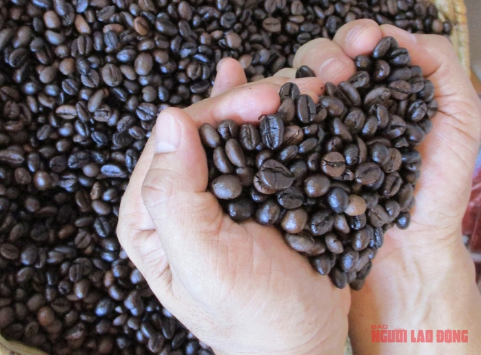 Gi&aacute; c&agrave; ph&ecirc; h&ocirc;m nay 24-3: Hạ nhiệt khi căng thẳng Trung Đ&ocirc;ng dịu lại - Ảnh 2.