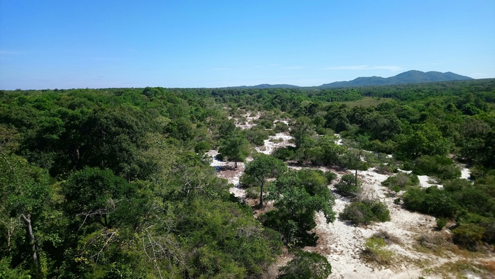 L&agrave;m r&otilde; nguy&ecirc;n nh&acirc;n hơn 17.700 ha rừng tự nhi&ecirc;n ở L&acirc;m Đồng bị giảm - Ảnh 1.