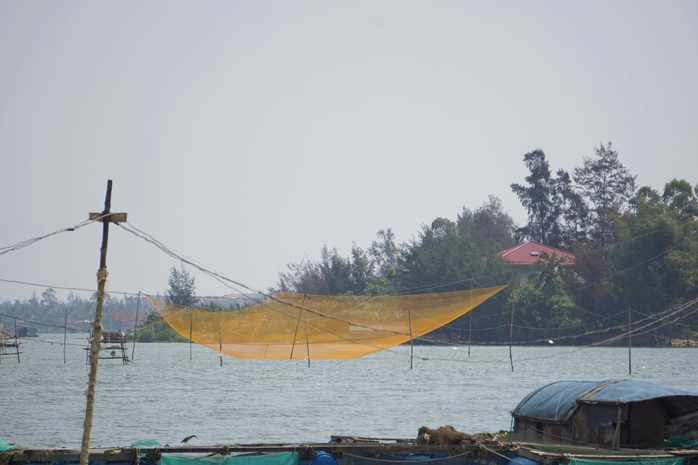 C&acirc;u chuyện ph&iacute;a sau bức ảnh "Mắt c&aacute;" đoạt giải quốc tế - Ảnh 4.