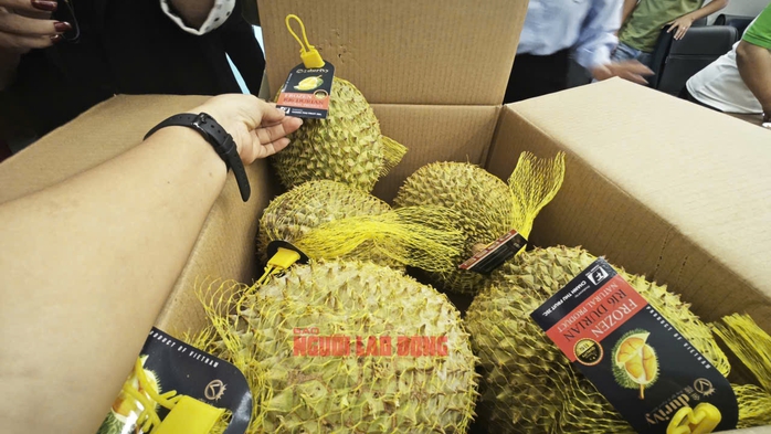 Sầu ri&ecirc;ng Ri 6 Việt Nam dẫn đầu thị trường ch&acirc;u &Aacute; tại Mỹ 2026 - Ảnh 4.