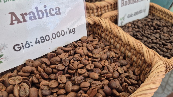 Gi&aacute; c&agrave; ph&ecirc; h&ocirc;m nay 25-3: Arabica tăng n&oacute;ng, vượt 7.000 USD/tấn - Ảnh 1.