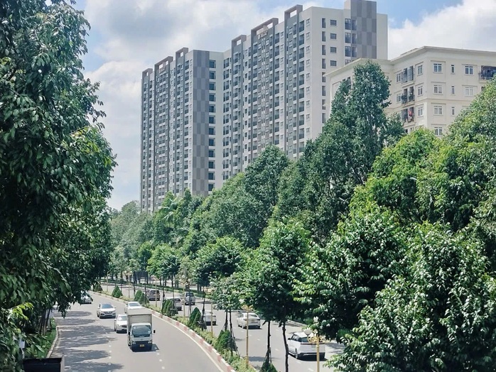 Đồng Nai cảnh báo không mua nhà ở xã hội qua cò mồi , suất ngọai giao - Ảnh 1. Đồng Nai cảnh báo không mua nhà ở xã hội qua cò mồi , suất ngọai giao - Ảnh 1.