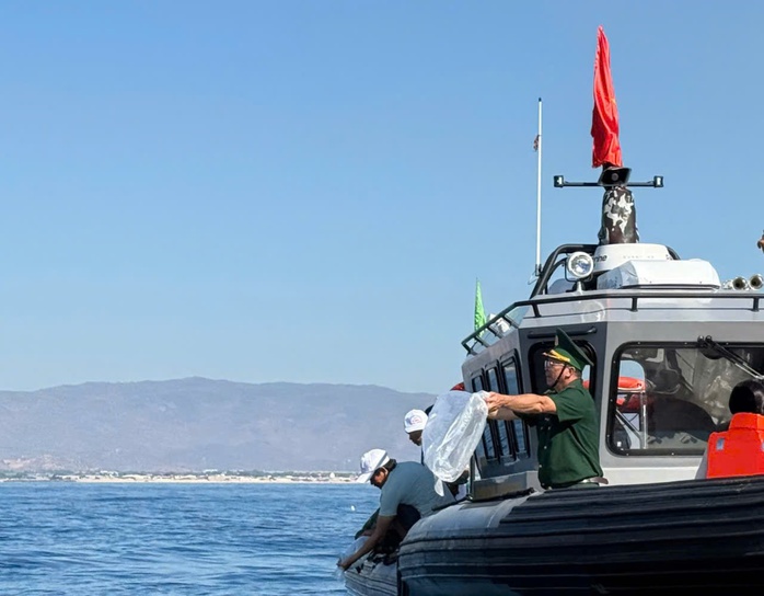 Thả hơn 1,1 triệu con giống t&aacute;i tạo nguồn lợi thủy sản v&ugrave;ng biển H&ograve;n Cau - Ảnh 2.