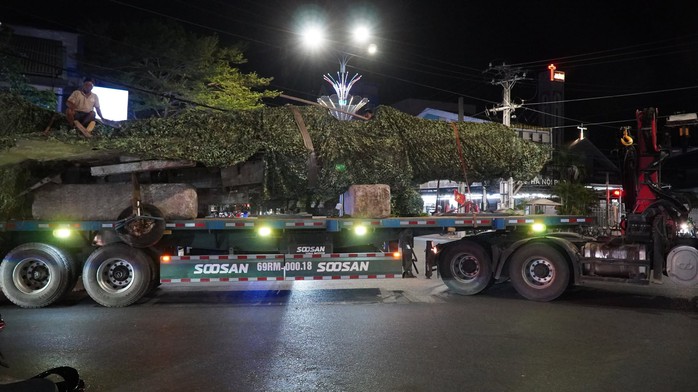 Di dời chiếc máy bay Mig21 bị "bỏ quên" ở Cà Mau - Ảnh 1.