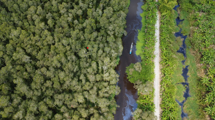Sẵn s&agrave;ng ứng ph&oacute; trước nguy cơ ch&aacute;y rừng ở U Minh Hạ - Ảnh 1.