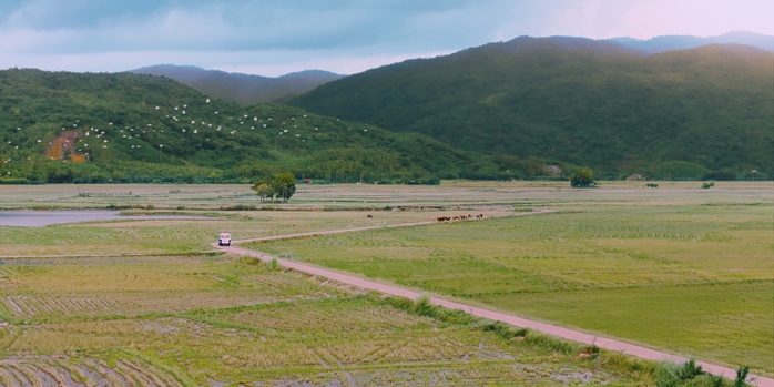 Phim có "nàng hậu" Đoàn Thiên Ân và mỹ nam Khương Lê hút khán giả - Ảnh 3.