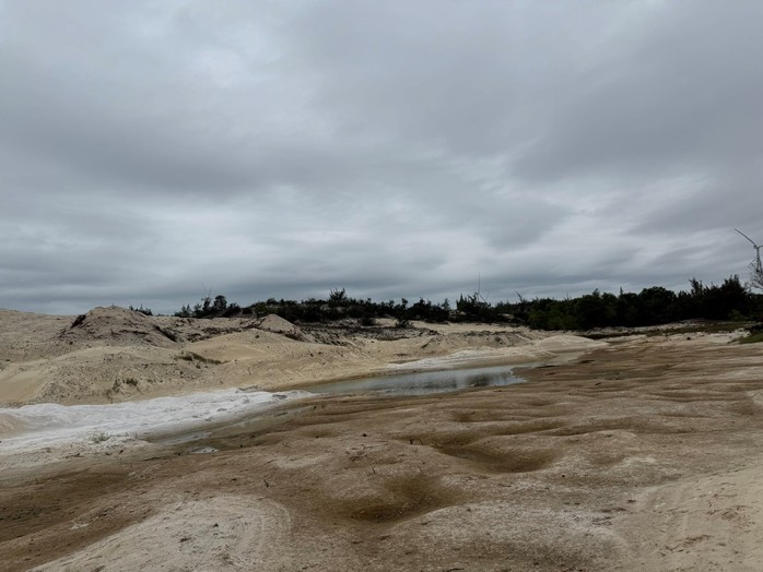 Đ&agrave;o c&aacute;t đem b&aacute;n, m&ocirc;i trường bị&hellip; bỏ qu&ecirc;n! - Ảnh 1.