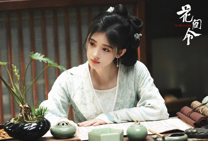 "Mỹ nhân 4.000 năm có một" Cúc Tịnh Y bị tố cáo trốn thuế - Ảnh 4.