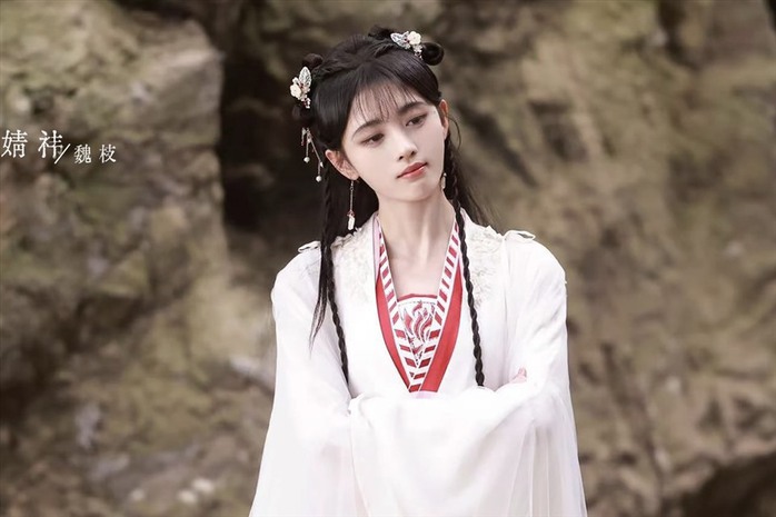 "Mỹ nhân 4.000 năm có một" Cúc Tịnh Y bị tố cáo trốn thuế - Ảnh 5.