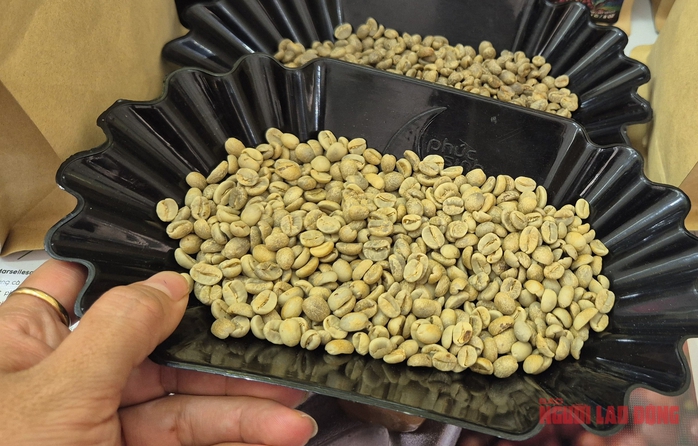 Gi&aacute; c&agrave; ph&ecirc; h&ocirc;m nay 4 - 3: Xu hướng giảm v&agrave; sự tăng trưởng xuất khẩu sang Trung Quốc - Ảnh 2.