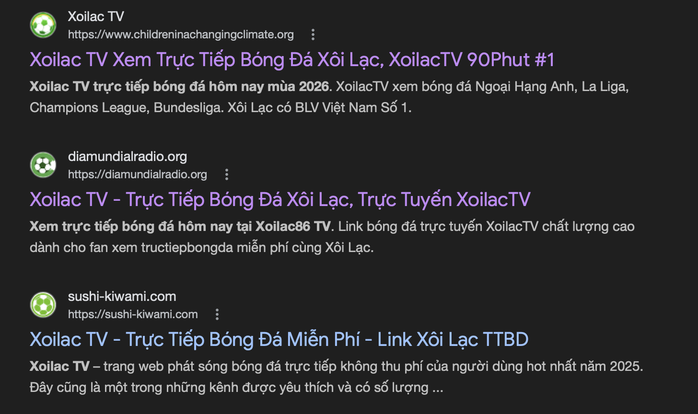 Khởi tố 2 &ocirc;ng tr&ugrave;m tổ chức đ&aacute;nh bạc tr&ecirc;n hệ thống X&ocirc;i Lạc TV - Ảnh 1.