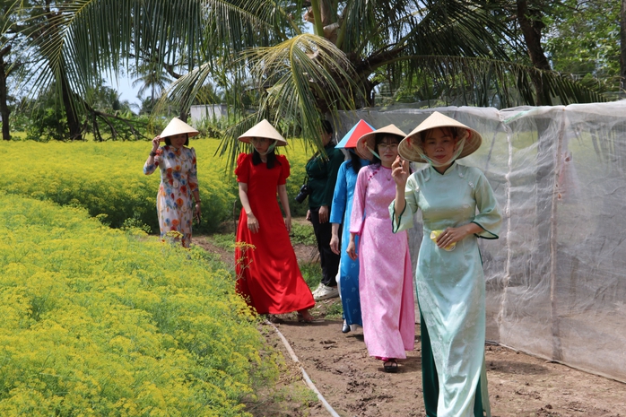VIDEO: Du kh&aacute;ch đổ x&ocirc; ngắm những c&aacute;nh đồng hoa &ldquo;lạ&rdquo; ở C&agrave; Mau - Ảnh 11.