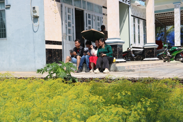 VIDEO: Du kh&aacute;ch đổ x&ocirc; ngắm những c&aacute;nh đồng hoa &ldquo;lạ&rdquo; ở C&agrave; Mau - Ảnh 12.