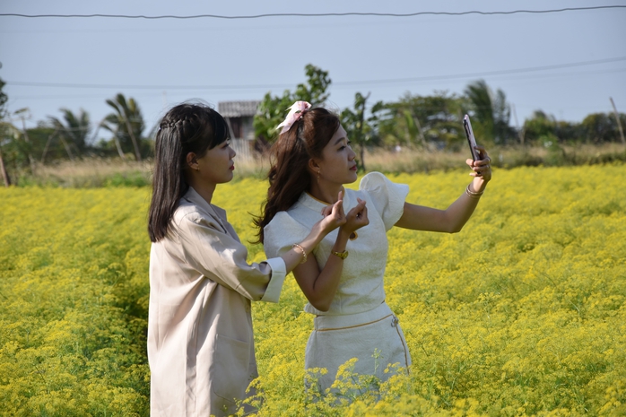 VIDEO: Du kh&aacute;ch đổ x&ocirc; ngắm những c&aacute;nh đồng hoa &ldquo;lạ&rdquo; ở C&agrave; Mau - Ảnh 14.