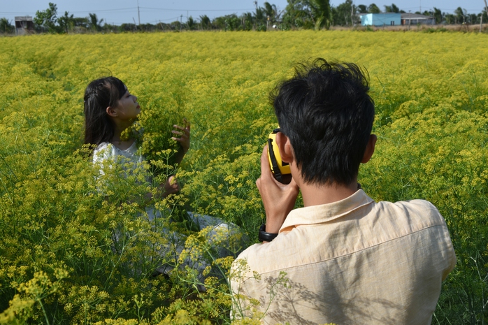 VIDEO: Du kh&aacute;ch đổ x&ocirc; ngắm những c&aacute;nh đồng hoa &ldquo;lạ&rdquo; ở C&agrave; Mau - Ảnh 16.