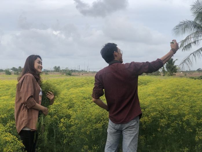 VIDEO: Du kh&aacute;ch đổ x&ocirc; ngắm những c&aacute;nh đồng hoa &ldquo;lạ&rdquo; ở C&agrave; Mau - Ảnh 18.