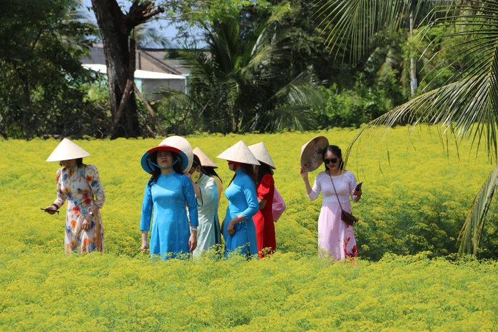 VIDEO: Du kh&aacute;ch đổ x&ocirc; ngắm những c&aacute;nh đồng hoa &ldquo;lạ&rdquo; ở C&agrave; Mau - Ảnh 8.