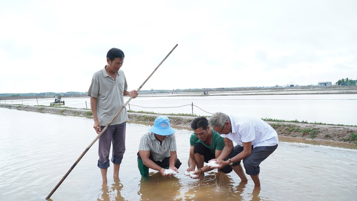 Thiệt hại nặng nề vì mưa trái mùa - Ảnh 1. Thiệt hại nặng nề vì mưa trái mùa - Ảnh 1.