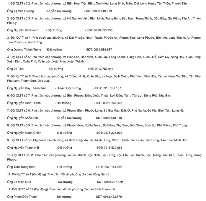 Đồng Nai lập đường d&acirc;y n&oacute;ng phản &aacute;nh về xăng dầu, y&ecirc;u cầu kh&ocirc;ng găm h&agrave;ng - Ảnh 2.