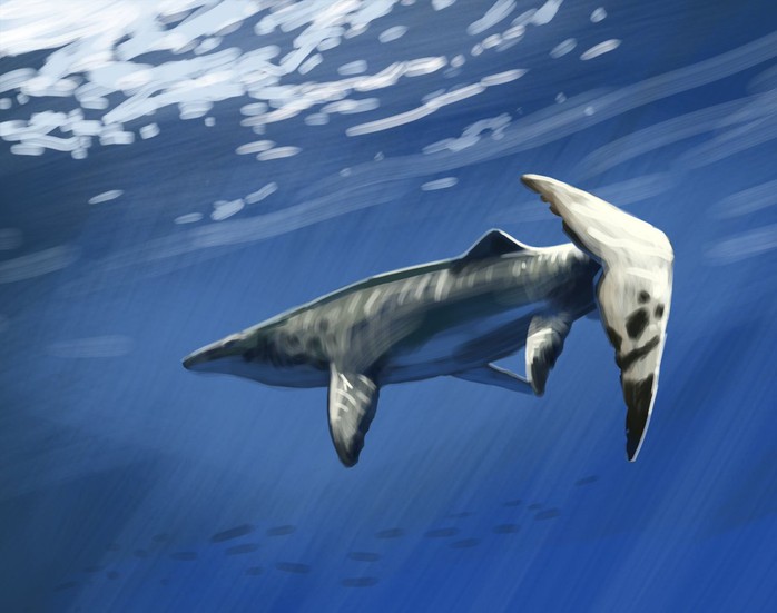 Thủy quái dài 9 mét xuất hiện giữa mỏ phốt phát - Ảnh 1.