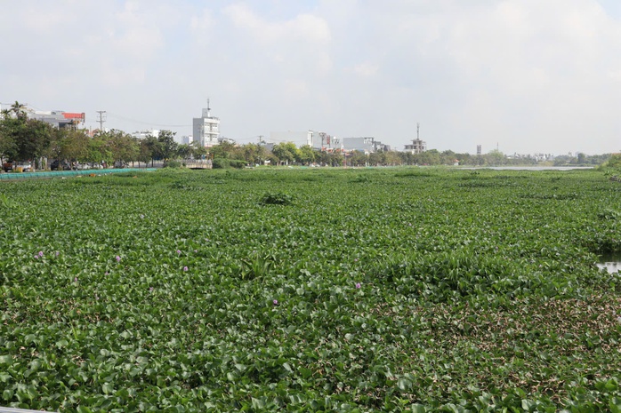 Cần Thơ: Chỉ đạo "n&oacute;ng" sau phản &aacute;nh tr&ecirc;n B&aacute;o Người Lao Động về việc &ocirc; nhiễm tại hồ B&uacute;ng X&aacute;ng - Ảnh 1.