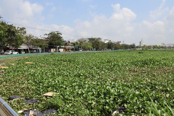 CLIP: Hồ B&uacute;ng X&aacute;ng cải tạo 220 tỉ đồng vẫn &ocirc; nhiễm v&igrave; ngập r&aacute;c v&agrave; lục b&igrave;nh - Ảnh 2.