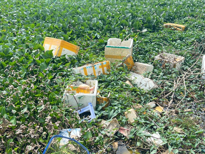 Cần Thơ: Chỉ đạo "n&oacute;ng" sau phản &aacute;nh tr&ecirc;n B&aacute;o Người Lao Động về việc &ocirc; nhiễm tại hồ B&uacute;ng X&aacute;ng - Ảnh 3.