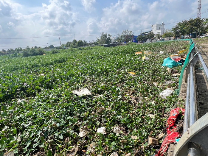 Cần Thơ: Chỉ đạo "n&oacute;ng" sau phản &aacute;nh tr&ecirc;n B&aacute;o Người Lao Động về việc &ocirc; nhiễm tại hồ B&uacute;ng X&aacute;ng - Ảnh 2.
