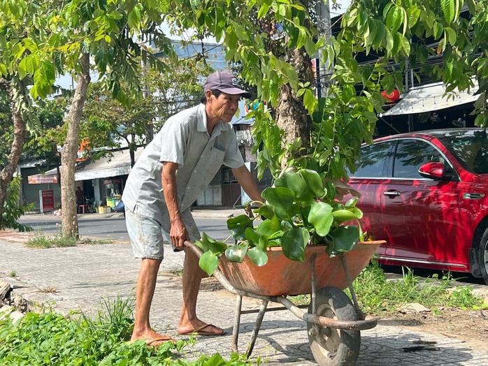 CLIP: Hồ B&uacute;ng X&aacute;ng cải tạo 220 tỉ đồng vẫn &ocirc; nhiễm v&igrave; ngập r&aacute;c v&agrave; lục b&igrave;nh - Ảnh 10.