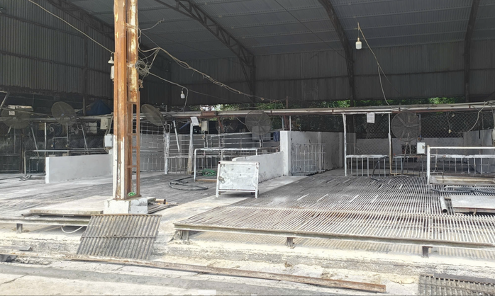 C&aacute;n bộ kiểm dịch th&uacute; y "v&ograve;i tiền" tiếp tay ti&ecirc;u thụ 3.600 con lợn bệnh - Ảnh 2.